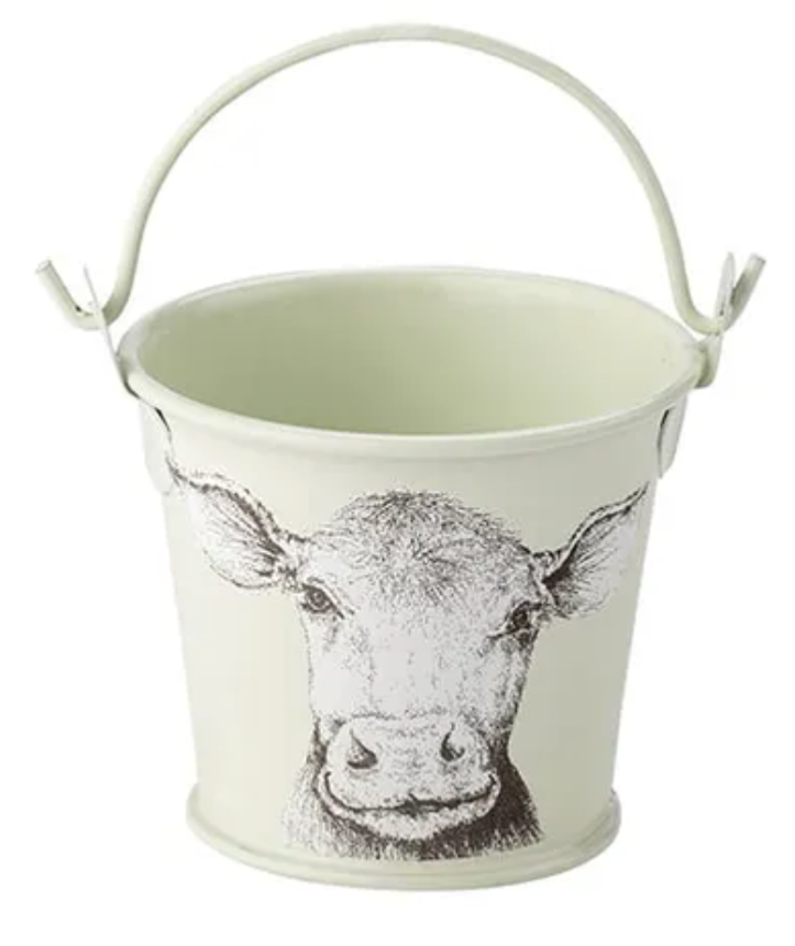 FIELDVIEW FARM 4PK EGG CUPS