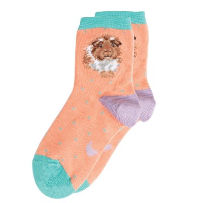 CHILDRENS WRENDALE GUINEA PIG SOCKS SIZE 9-12