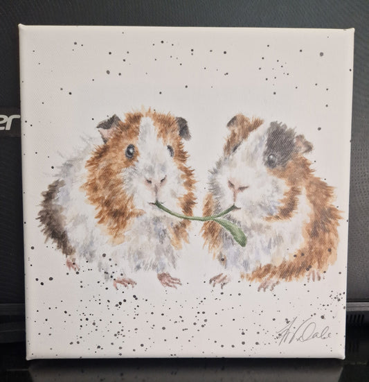 GUINEA PIG CANVAS