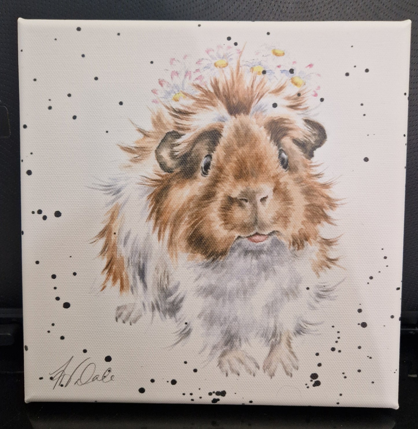 GUINEA PIG CANVAS