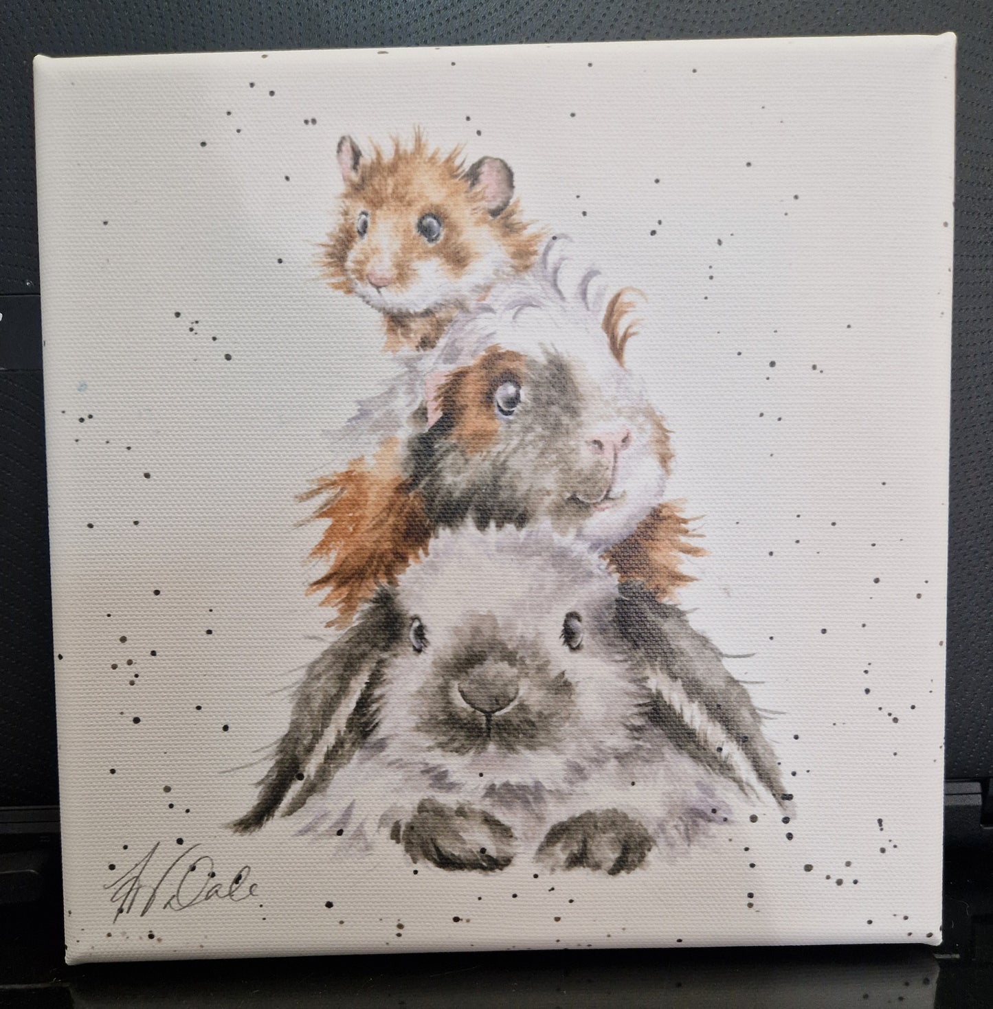 GUINEA PIG CANVAS