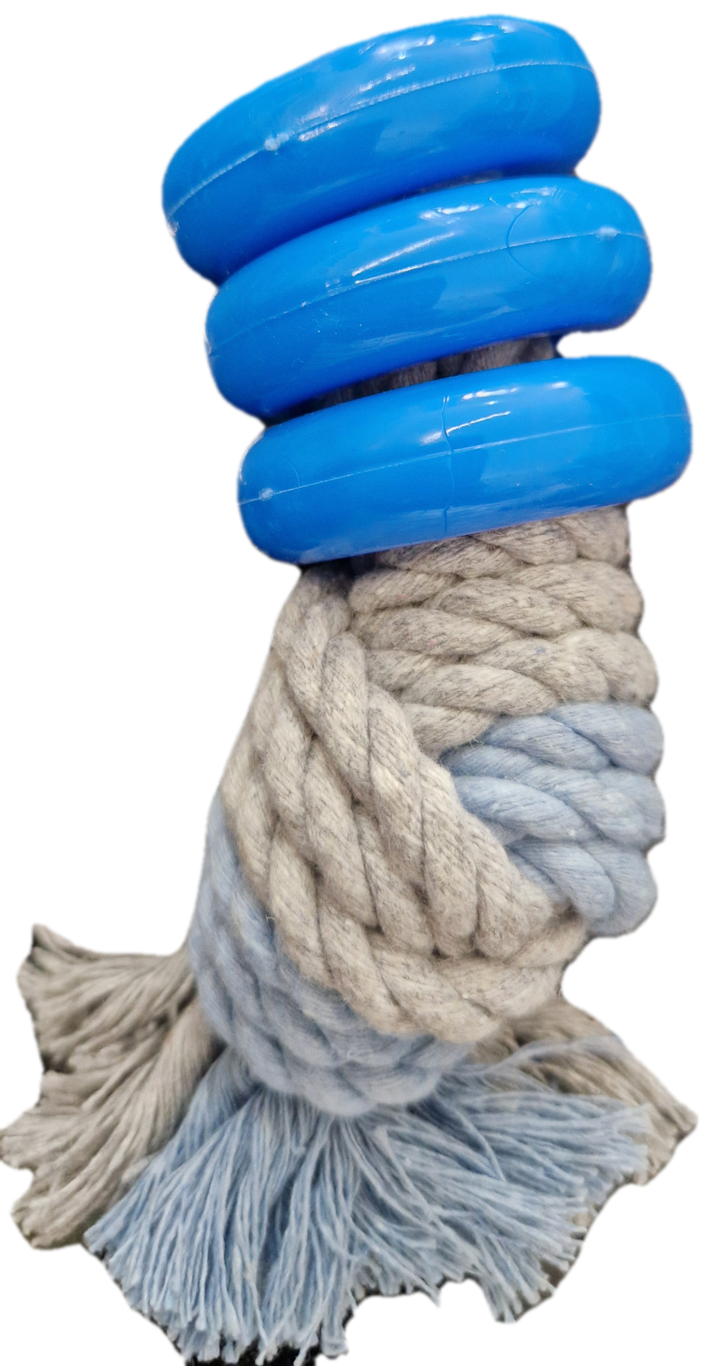 LITTLE RASCALS RINGS AND ROPE DOG TOY