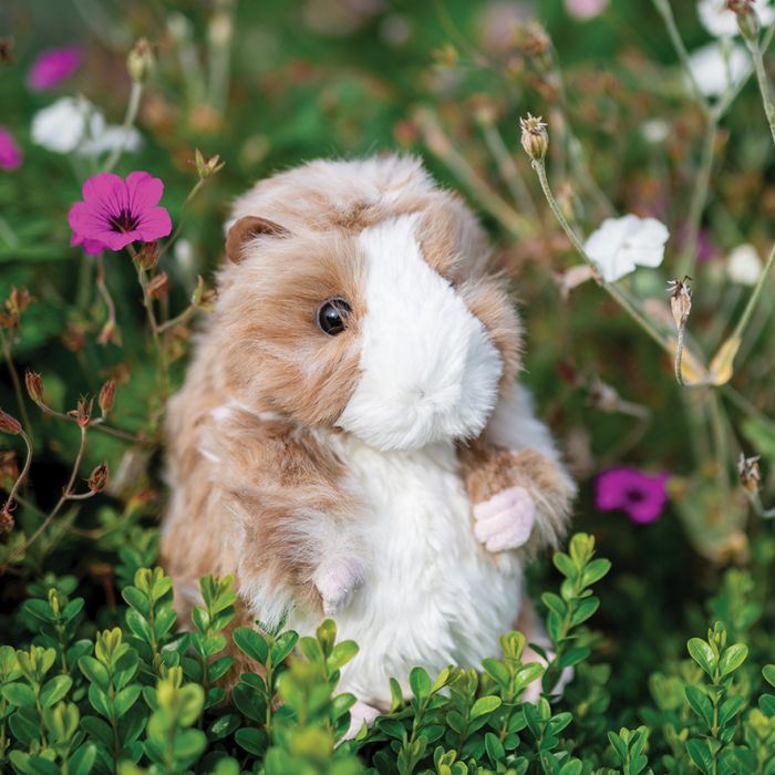 MEDIUM PLUSH GUINEA PIG FROM WRENDALE - DAPHNE