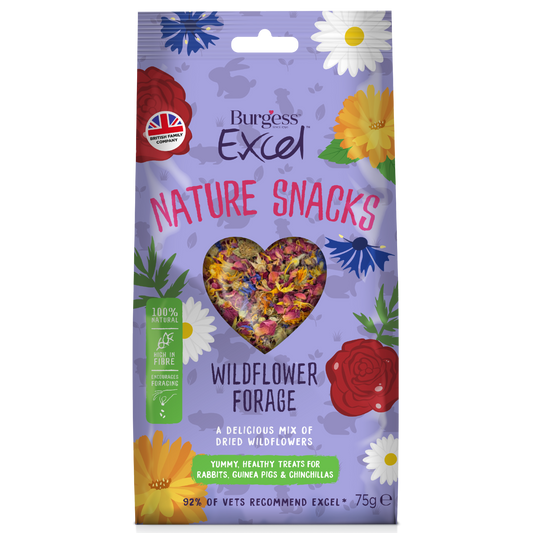 BURGESS EXCELL NATURE SNACKS WILDFLOWER FORAGE