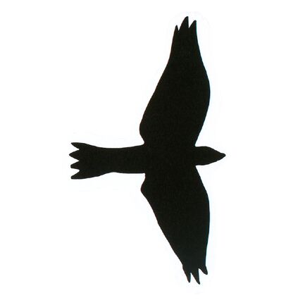 BIRDS OF PREY SILHOUETTES