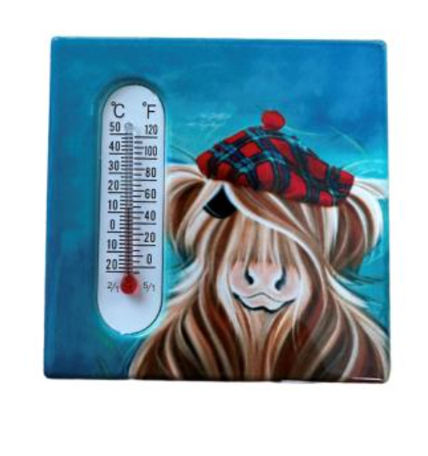 MCMOO HAMISH MAGNET - THERMOMETER